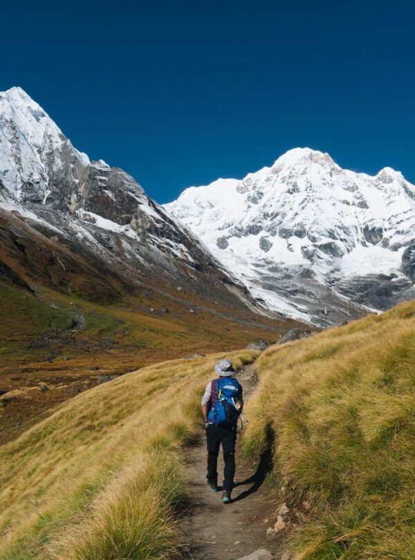 annapurna