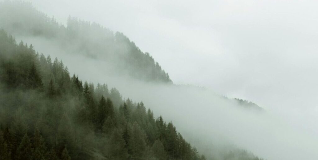 Himachal Monsoon